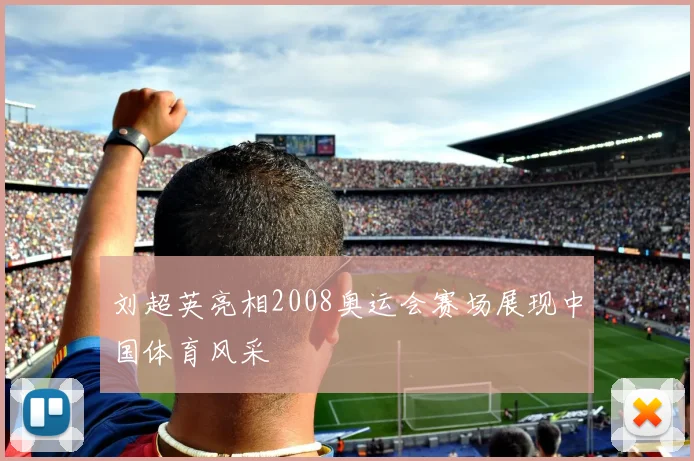 刘超英亮相2008奥运会赛场展现中国体育风采