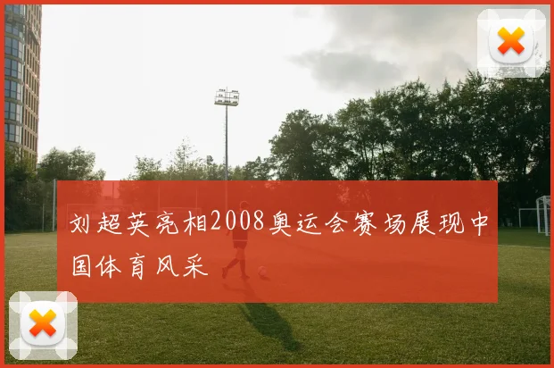 刘超英亮相2008奥运会赛场展现中国体育风采